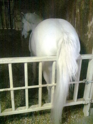 120503_092240.jpg