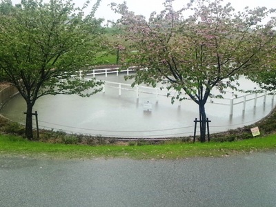 120503_130122.jpg