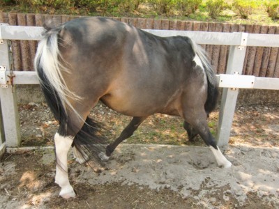 CIMG1744_R.JPG
