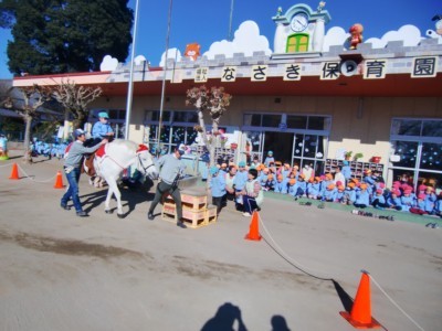 CIMG4378_R.JPG