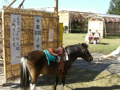 CIMG8134.jpg