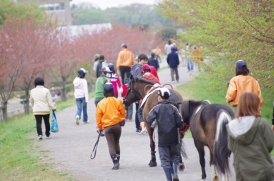 K5KM2330.JPG