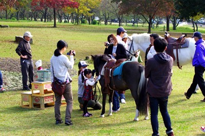 K5KM7567-1_R.jpg